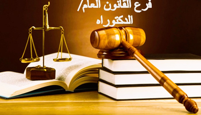 "Launching a Ph.D. in Public Law"