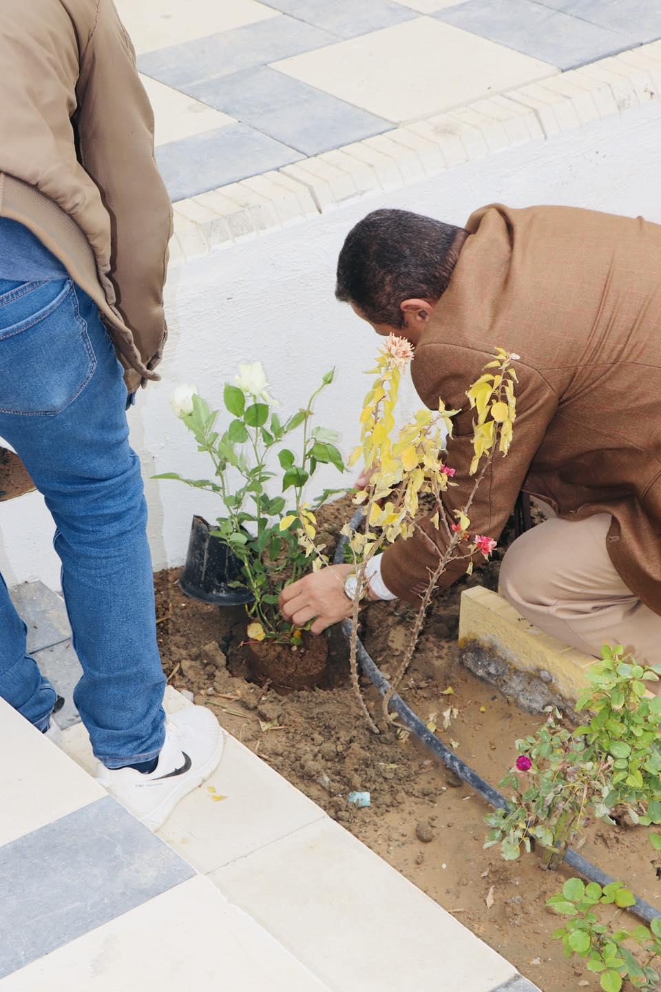 Tree Planting Campaign