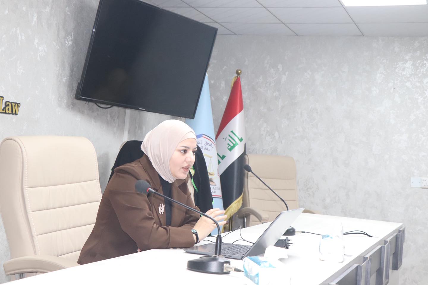 The Impact of the Arabic Language on Understanding and Interpreting Legal Texts
