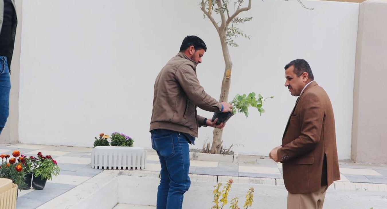 Tree Planting Campaign