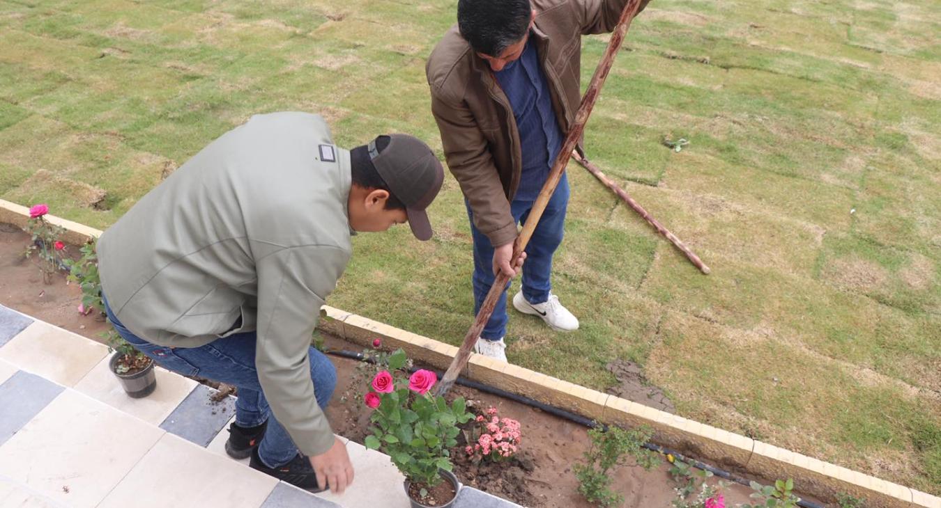 Tree Planting Campaign
