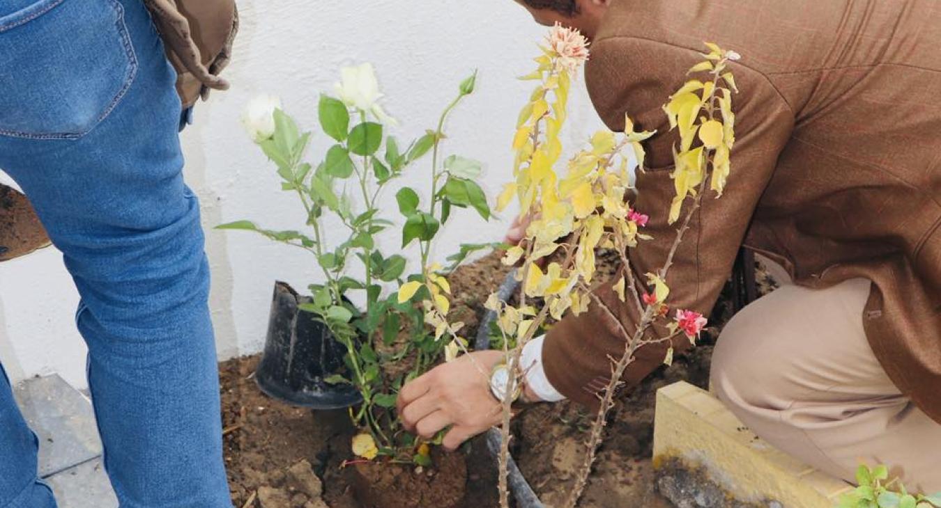 Tree Planting Campaign