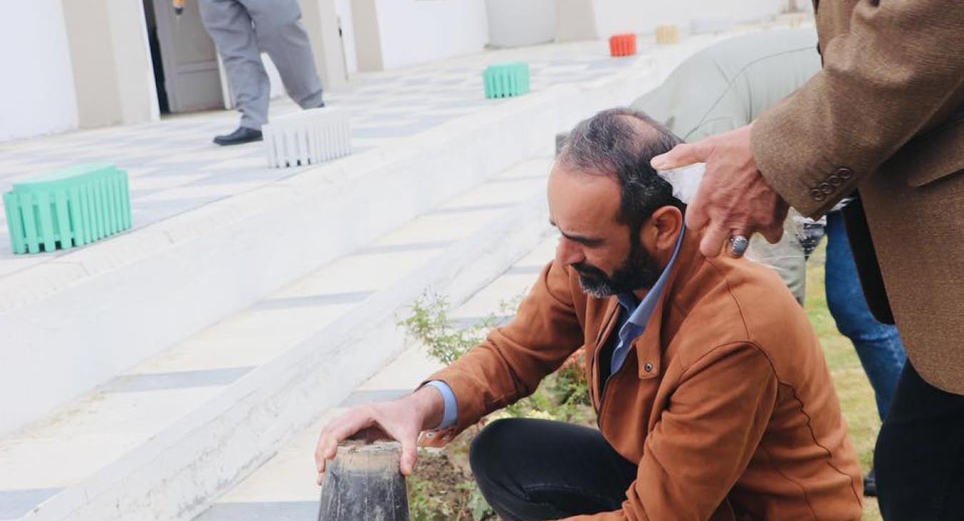 Tree Planting Campaign